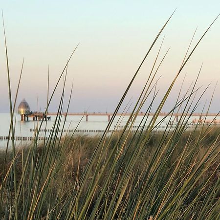 Ferienhaus Strandoase Zingst Exteriér fotografie