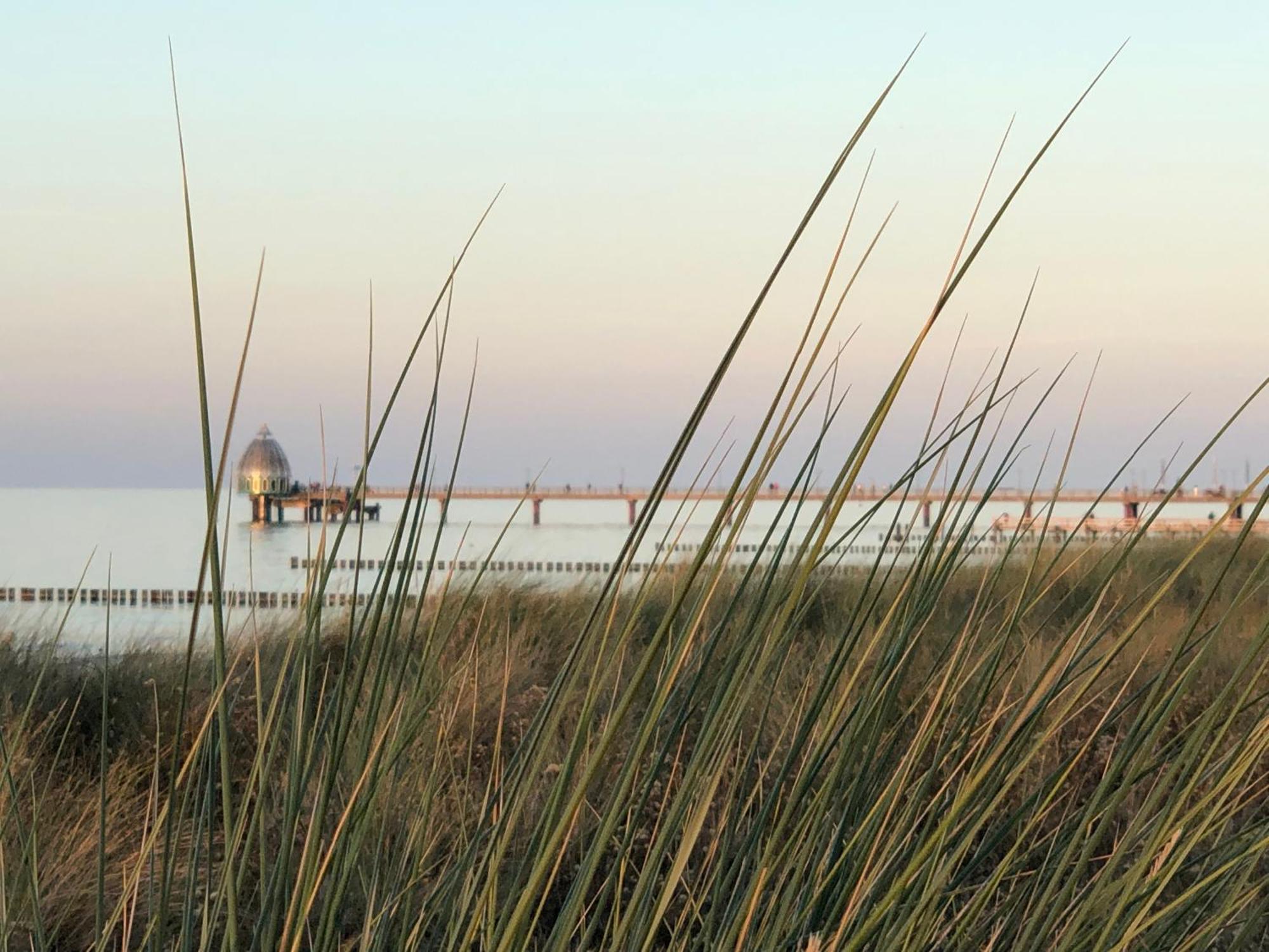 Ferienhaus Strandoase Zingst Exteriér fotografie